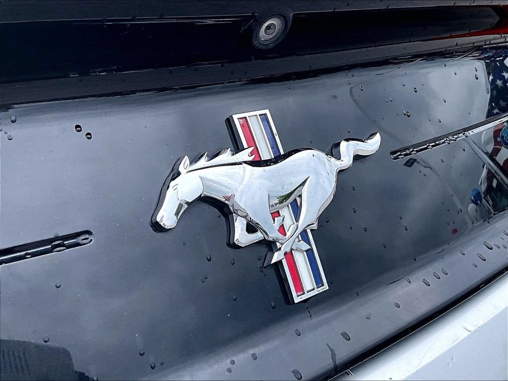 Used 2019 Ford Mustang Premium w/ Equipment Group 201A RWD image 9