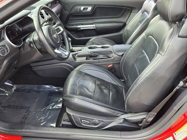 Used 2019 Ford Mustang GT Premium w/ Equipment Group 401A RWD image 10