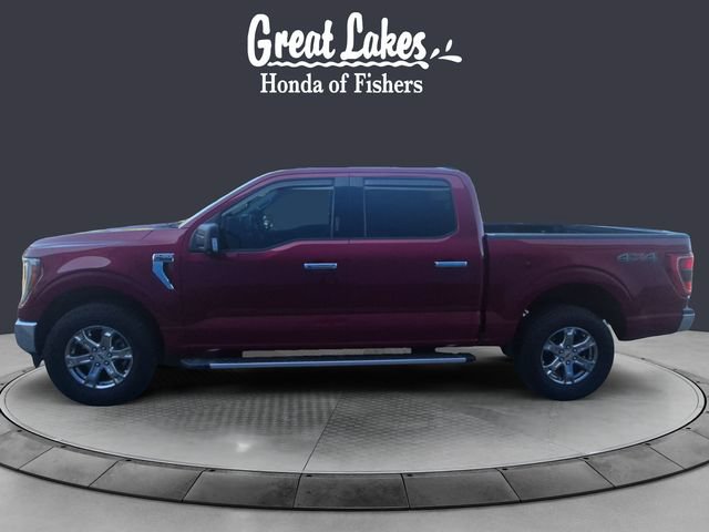 Used 2022 Ford F150 XLT w/ Equipment Group 302A High AWD/4WD image 2