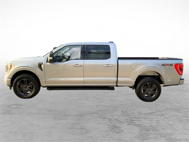 Used 2022 Ford F150 XLT w/ Equipment Group 302A High image 5