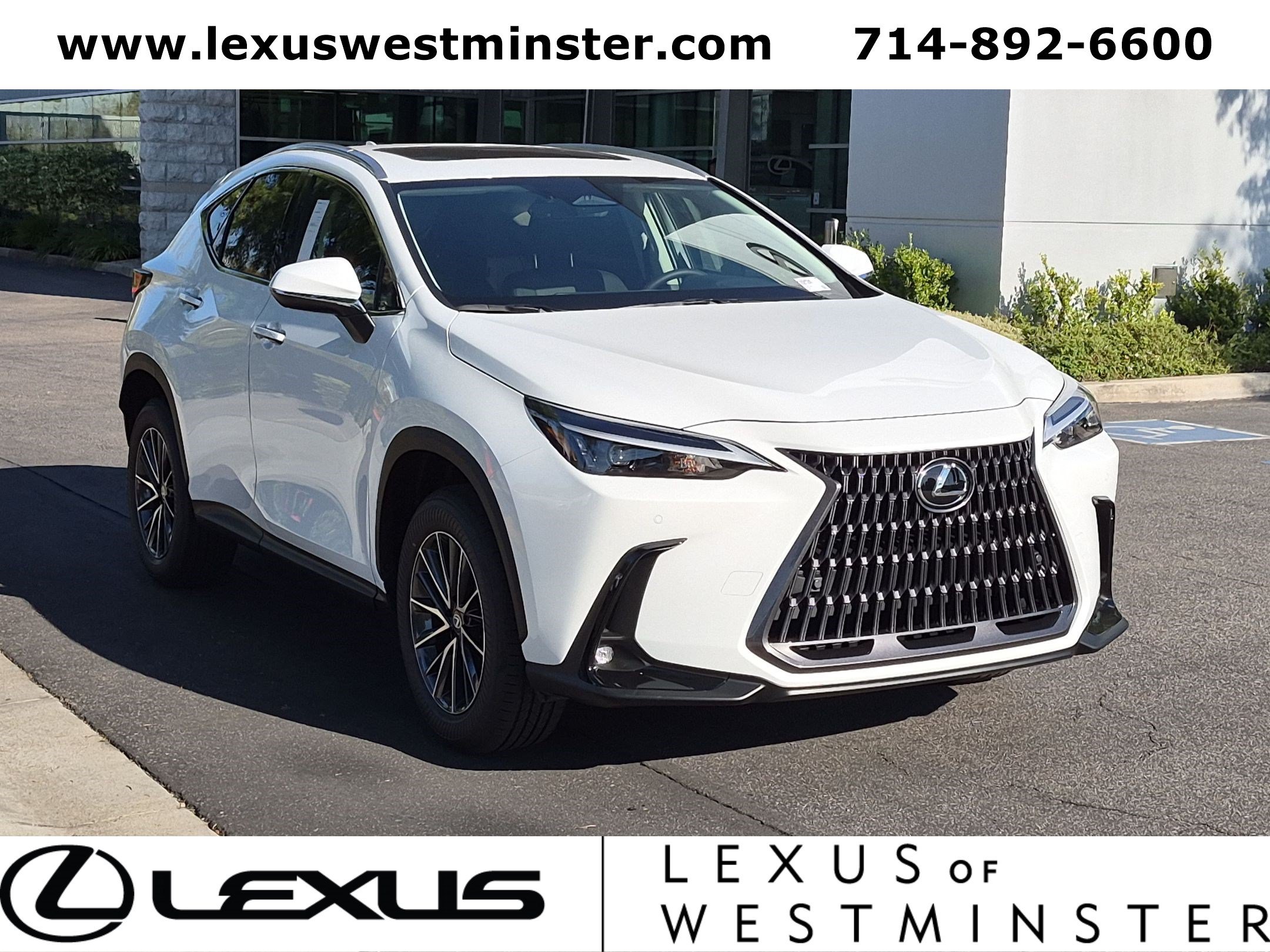 New 2026 Lexus NX 350 AWD w/ Accessory Package (Z1) image 3