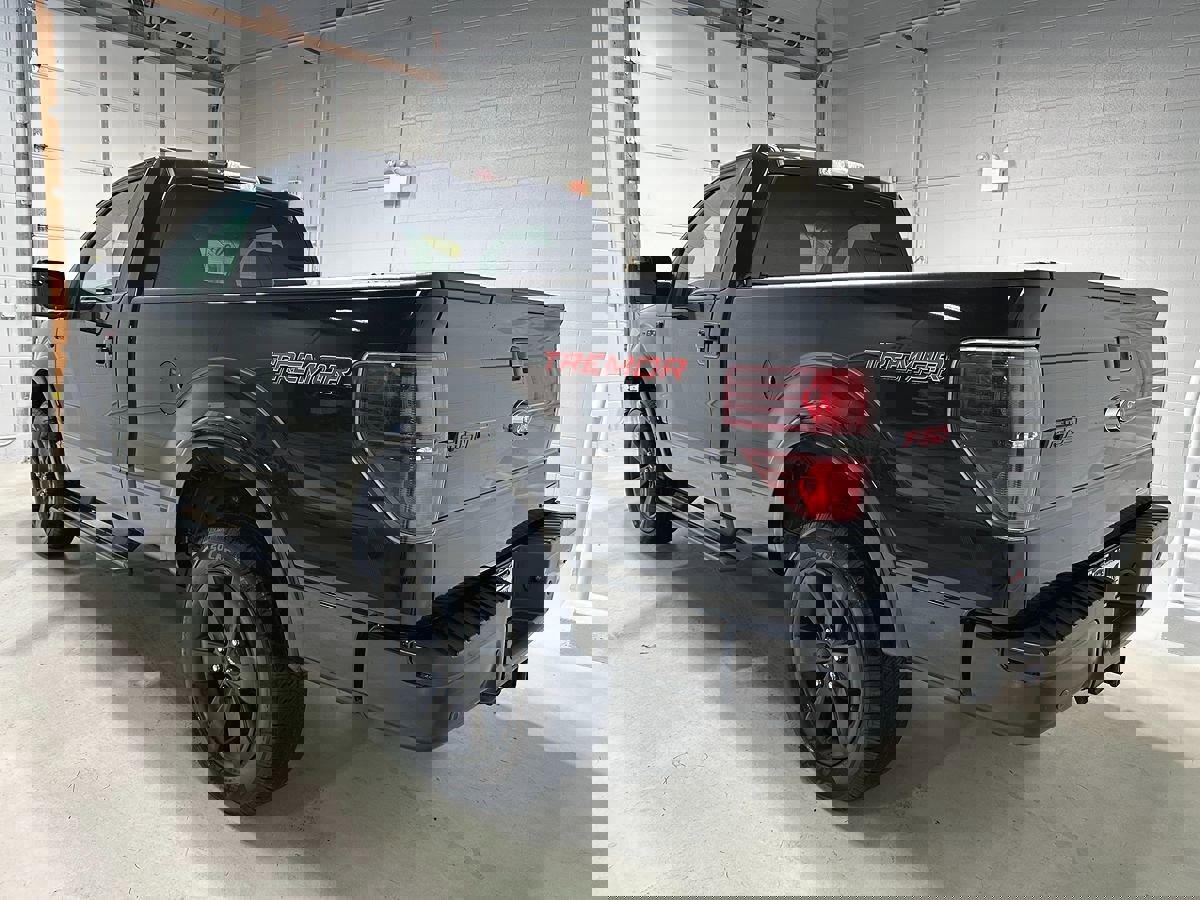 Used 2014 Ford F150 FX4 w/ FX Appearance Package image 14