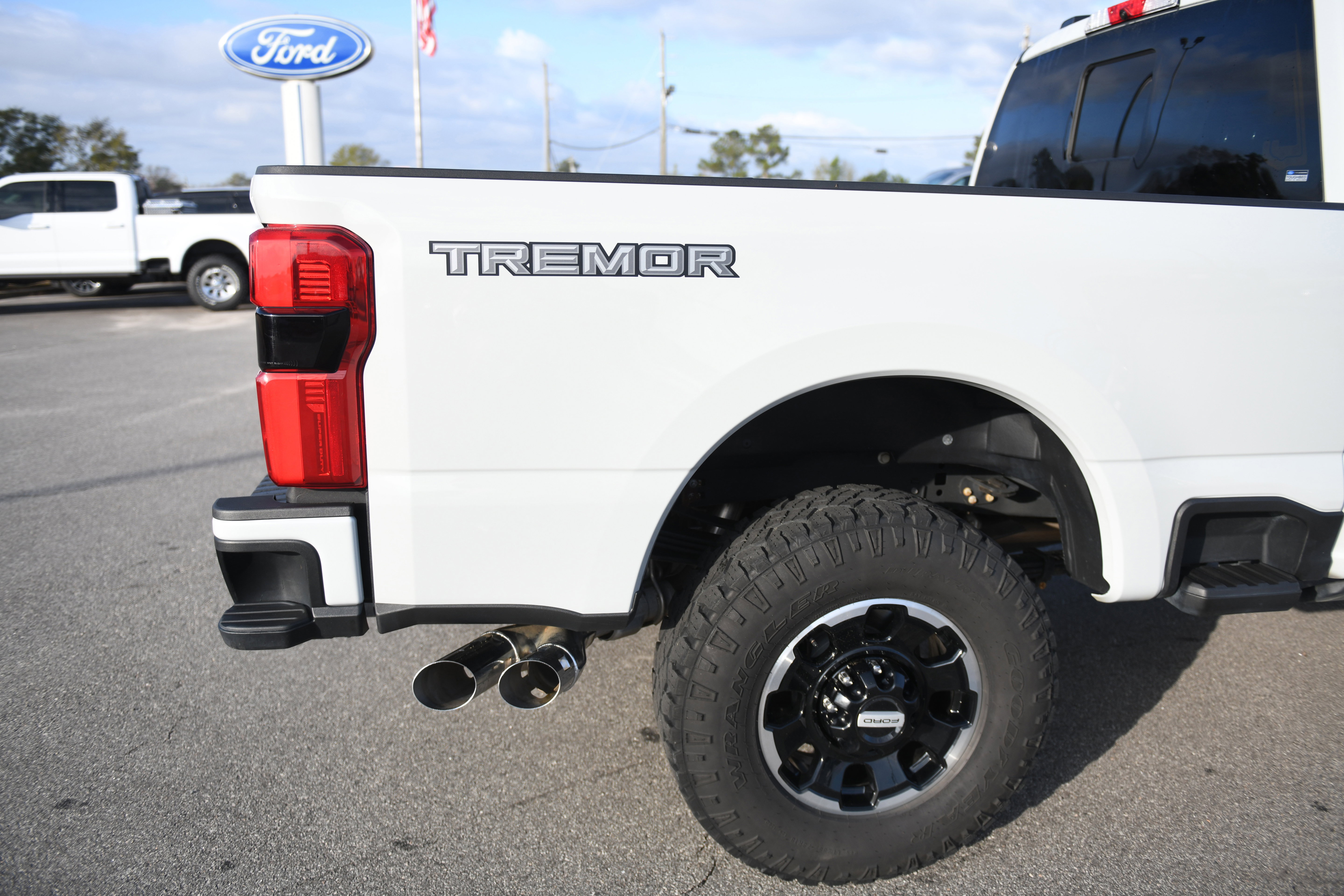 Used 2025 Ford F250 Platinum w/ Tremor Off-Road Package image 11