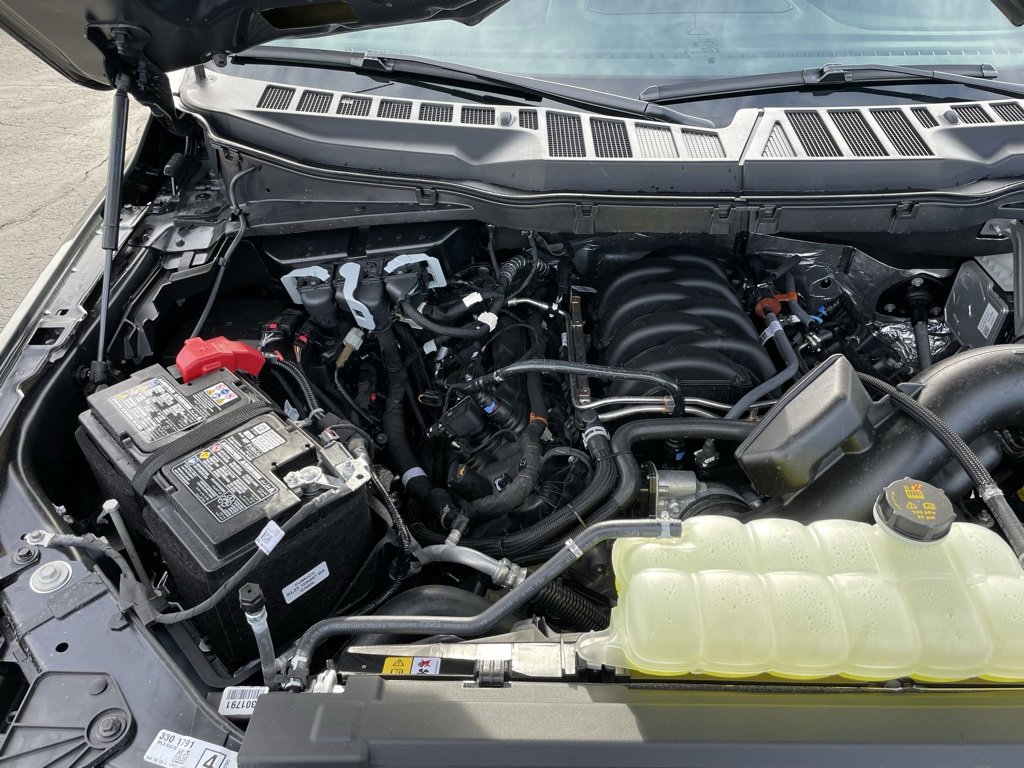 New 2026 Ford F150 XLT w/ Equipment Group 302A MID image 39