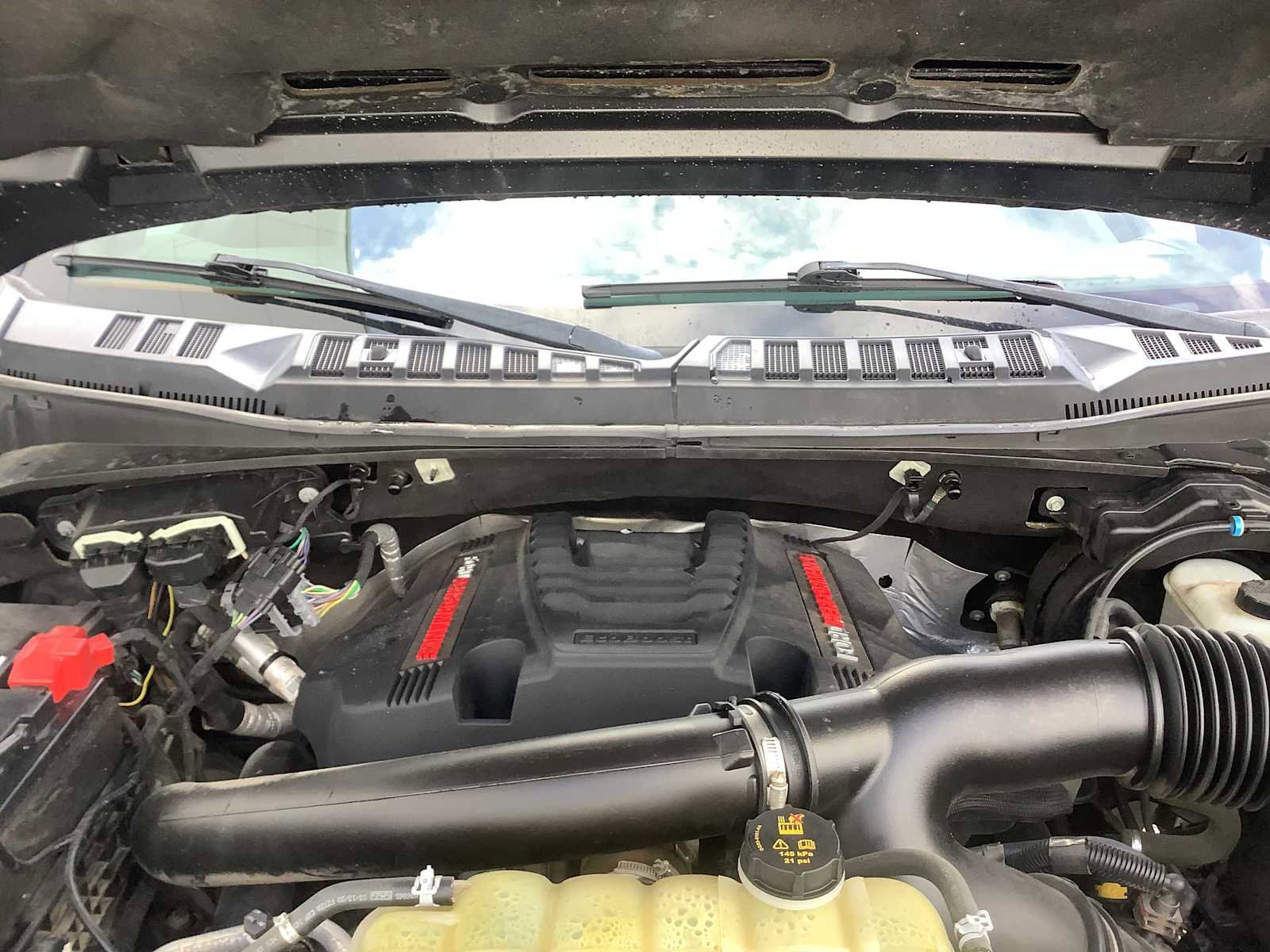 Used 2020 Ford F150 Raptor w/ Equipment Group 802A Luxury image 8