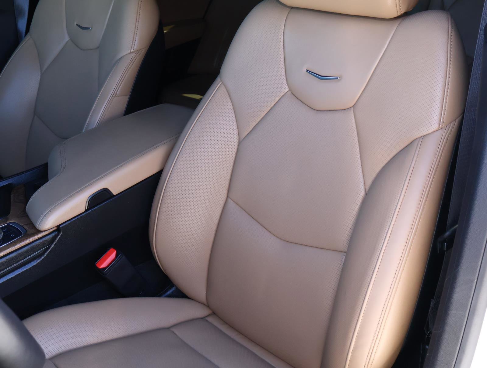 Used 2024 Cadillac CT5 Premium Luxury w/ Parking Package image 19