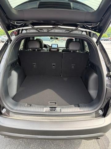 New 2025 Ford Escape ST-Line w/ Cold Weather Package FWD image 8