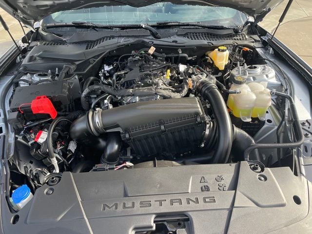 New 2026 Ford Mustang Coupe image 26