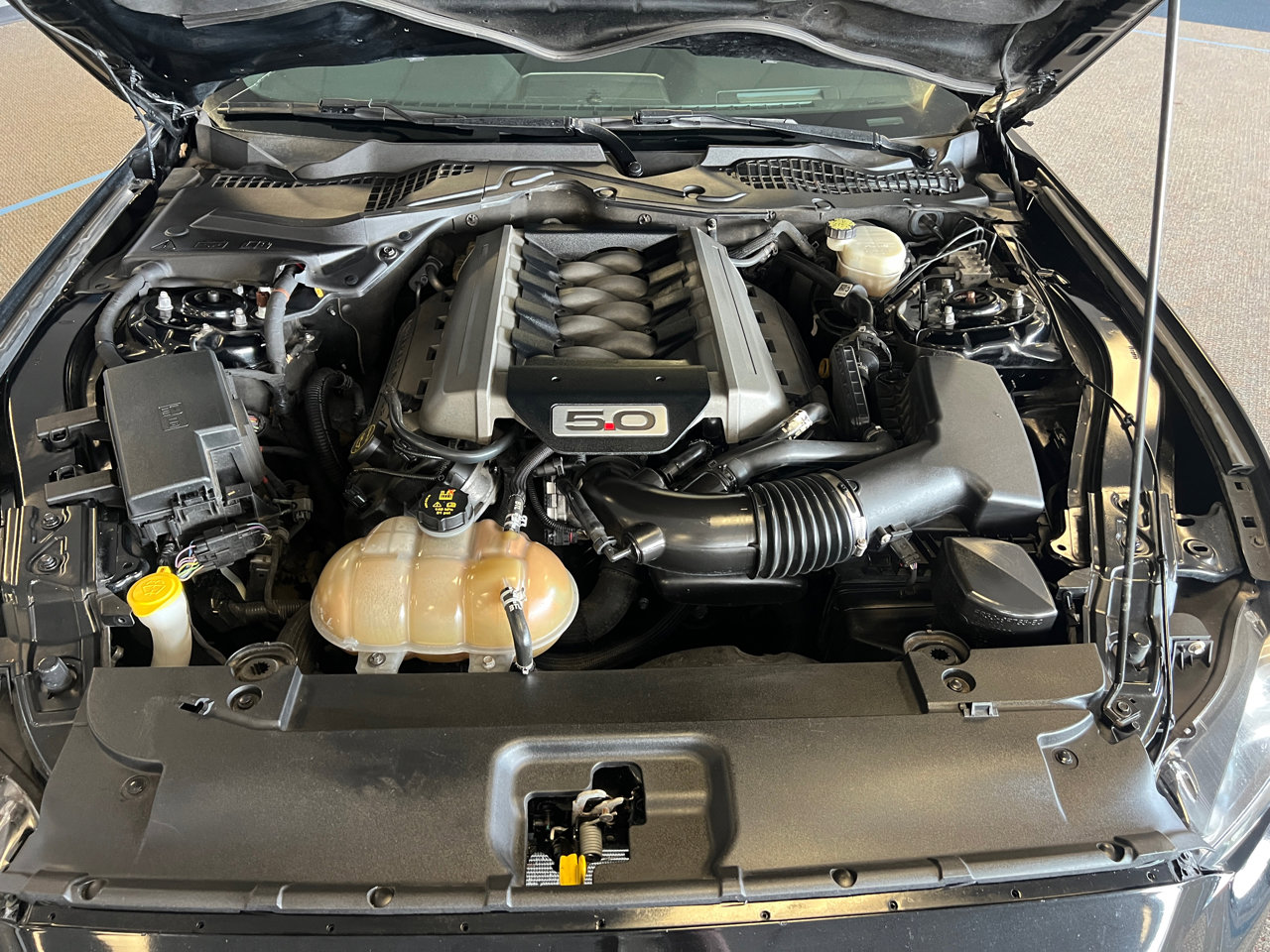 Used 2016 Ford Mustang GT Premium w/ Equipment Group 401A image 11