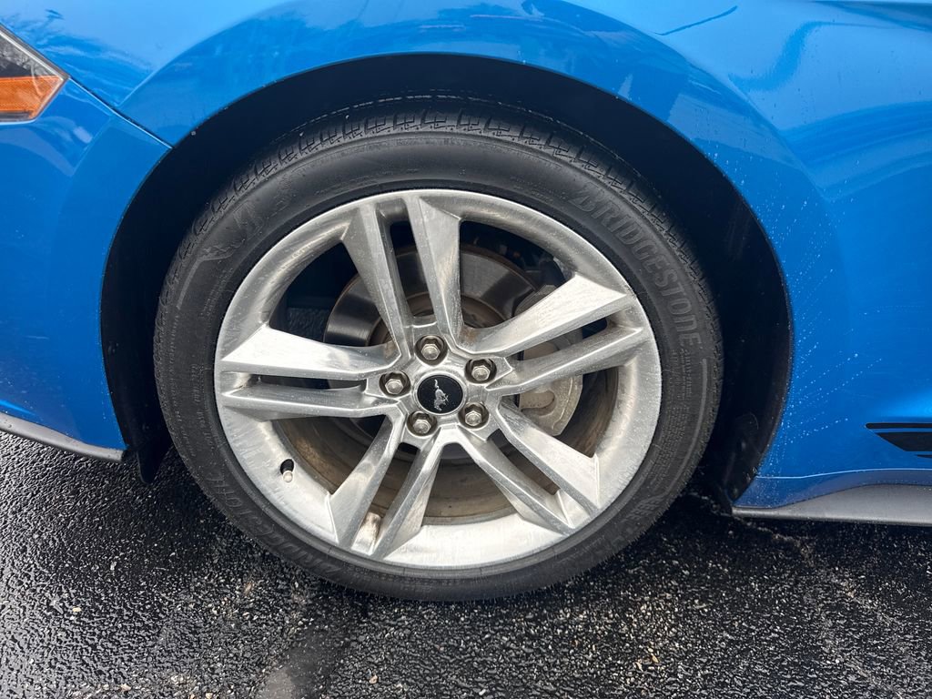 Used 2019 Ford Mustang Premium w/ Equipment Group 201A image 12