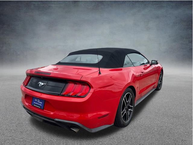 Used 2019 Ford Mustang Convertible RWD image 10
