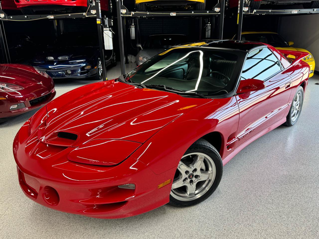 Used 2002 Pontiac Firebird Trans Am RWD image 2