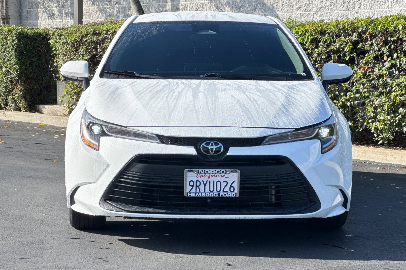 Used 2024 Toyota Corolla LE image 9