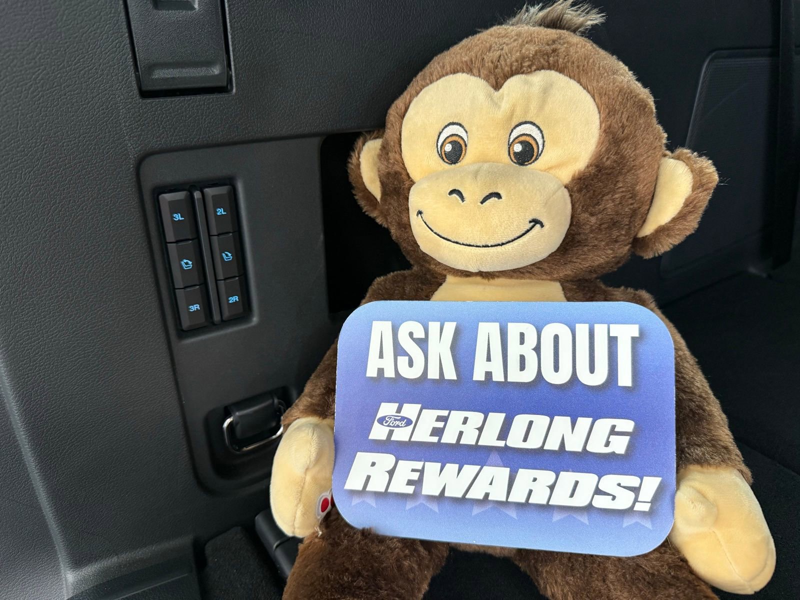 Used 2024 Ford Expedition Max Platinum image 9