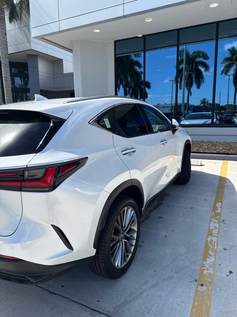 Used 2025 Lexus NX 350h AWD w/ Accessory Package (Z2) image 6
