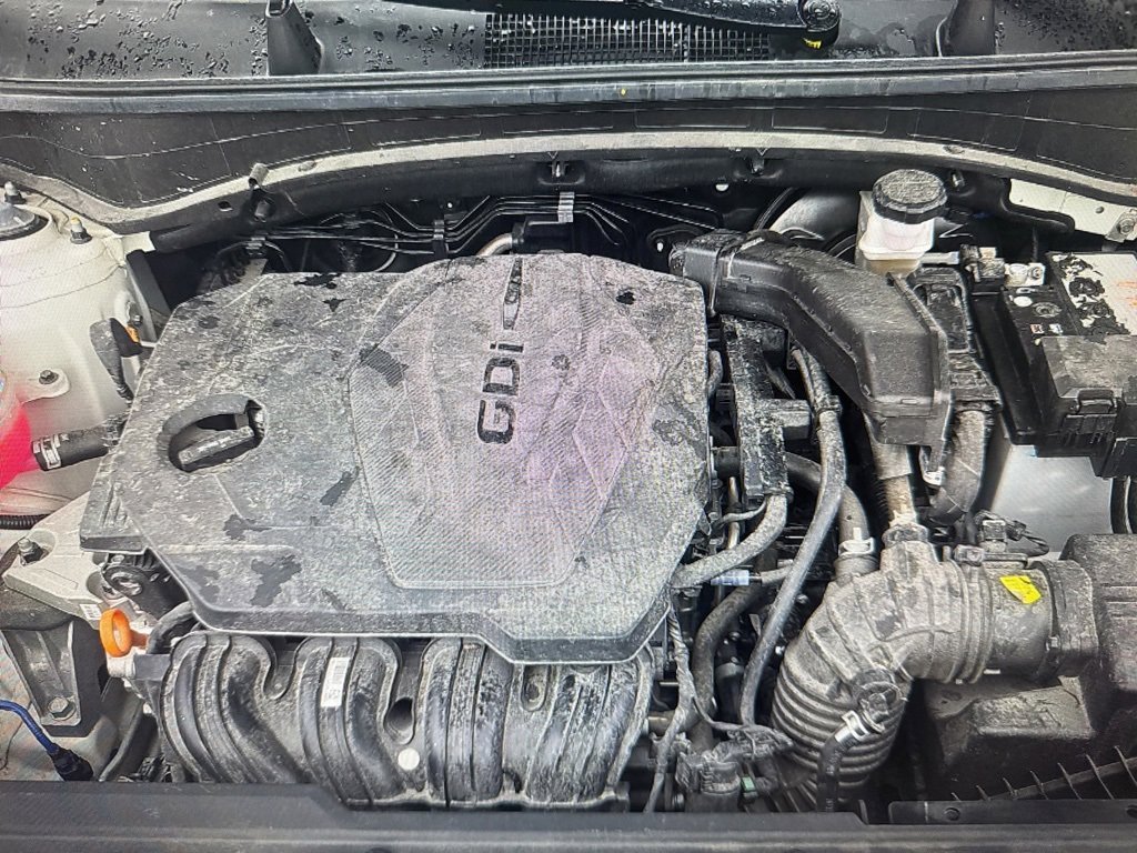 Used 2025 Kia Sportage LX image 15