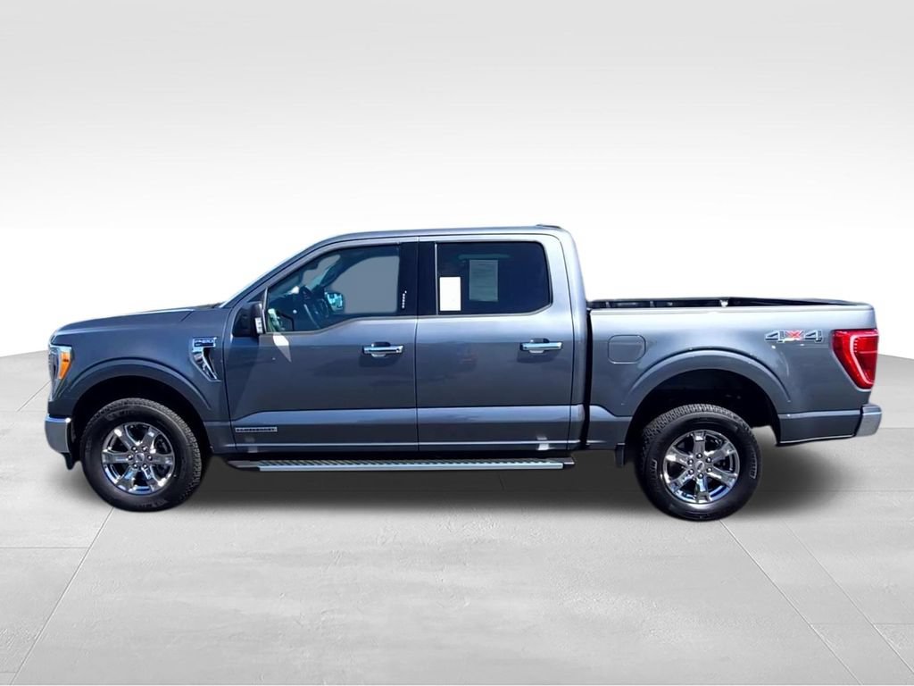 Used 2023 Ford F150 XLT w/ Equipment Group 302A High AWD/4WD image 6
