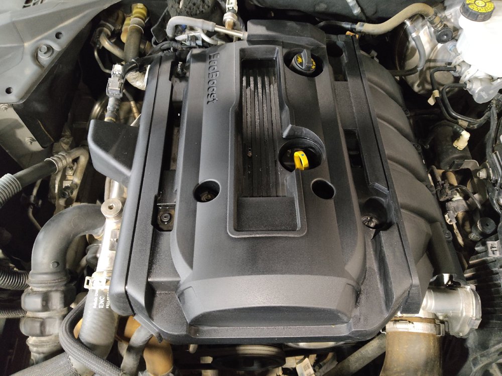 Used 2019 Ford Mustang Premium RWD image 30