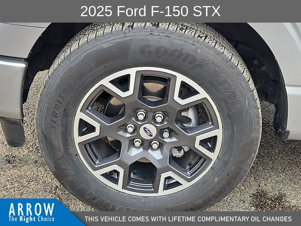 Used 2025 Ford F150 STX w/ Equipment Group 200A RWD image 17