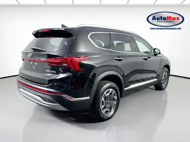 Used 2023 Hyundai Santa Fe Blue AWD/4WD image 2