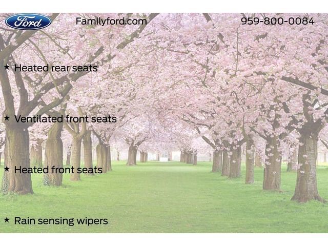 New 2026 Ford F250 Platinum image 49