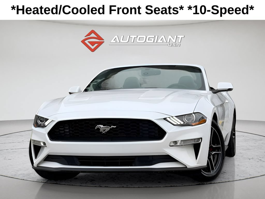 Used 2019 Ford Mustang Premium RWD image 1