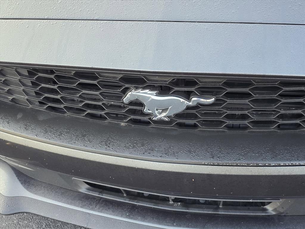 Used 2020 Ford Mustang EcoBoost w/ Equipment Group 101A image 9