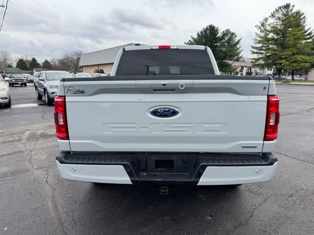 Used 2023 Ford F150 XLT w/ Equipment Group 302A High image 9