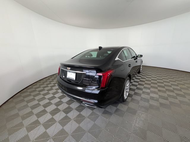Used 2021 Cadillac CT5 Luxury w/ Sun And Sound Package AWD/4WD image 3