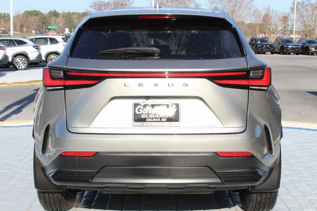 Used 2022 Lexus NX 350 AWD image 4