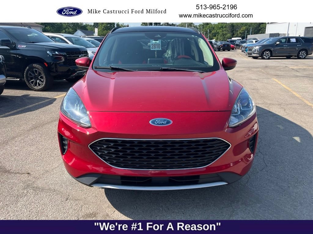 Used 2020 Ford Escape SE AWD/4WD image 2