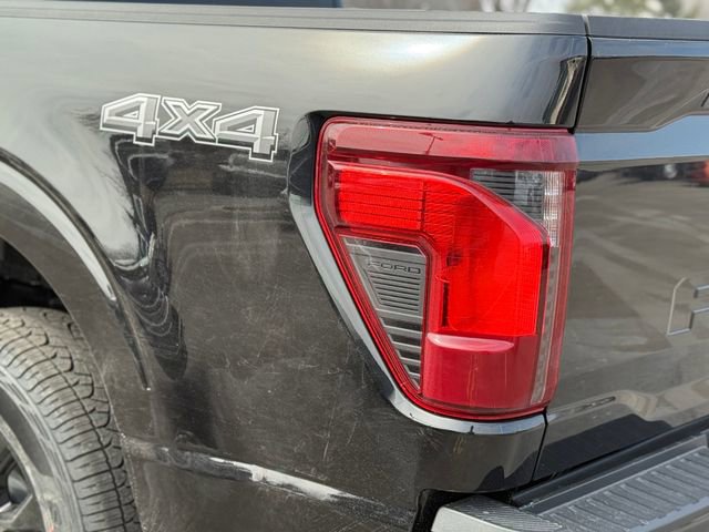 New 2026 Ford F150 XLT w/ Equipment Group 302A MID image 7