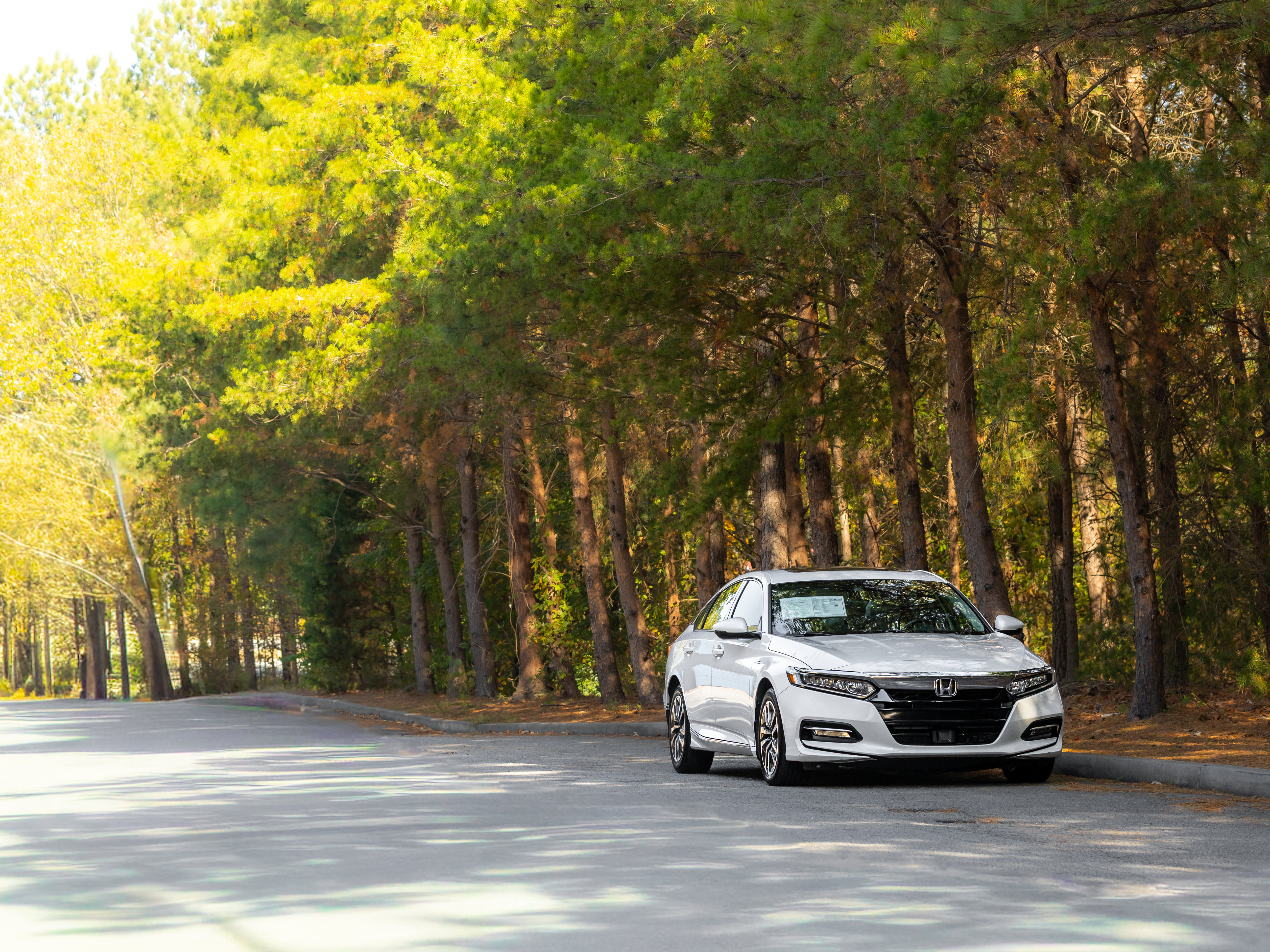 Used 2019 Honda Accord EX-L image 41