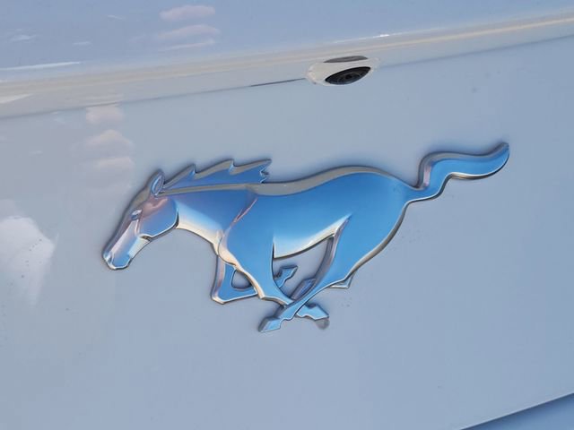 New 2026 Ford Mustang Coupe image 13