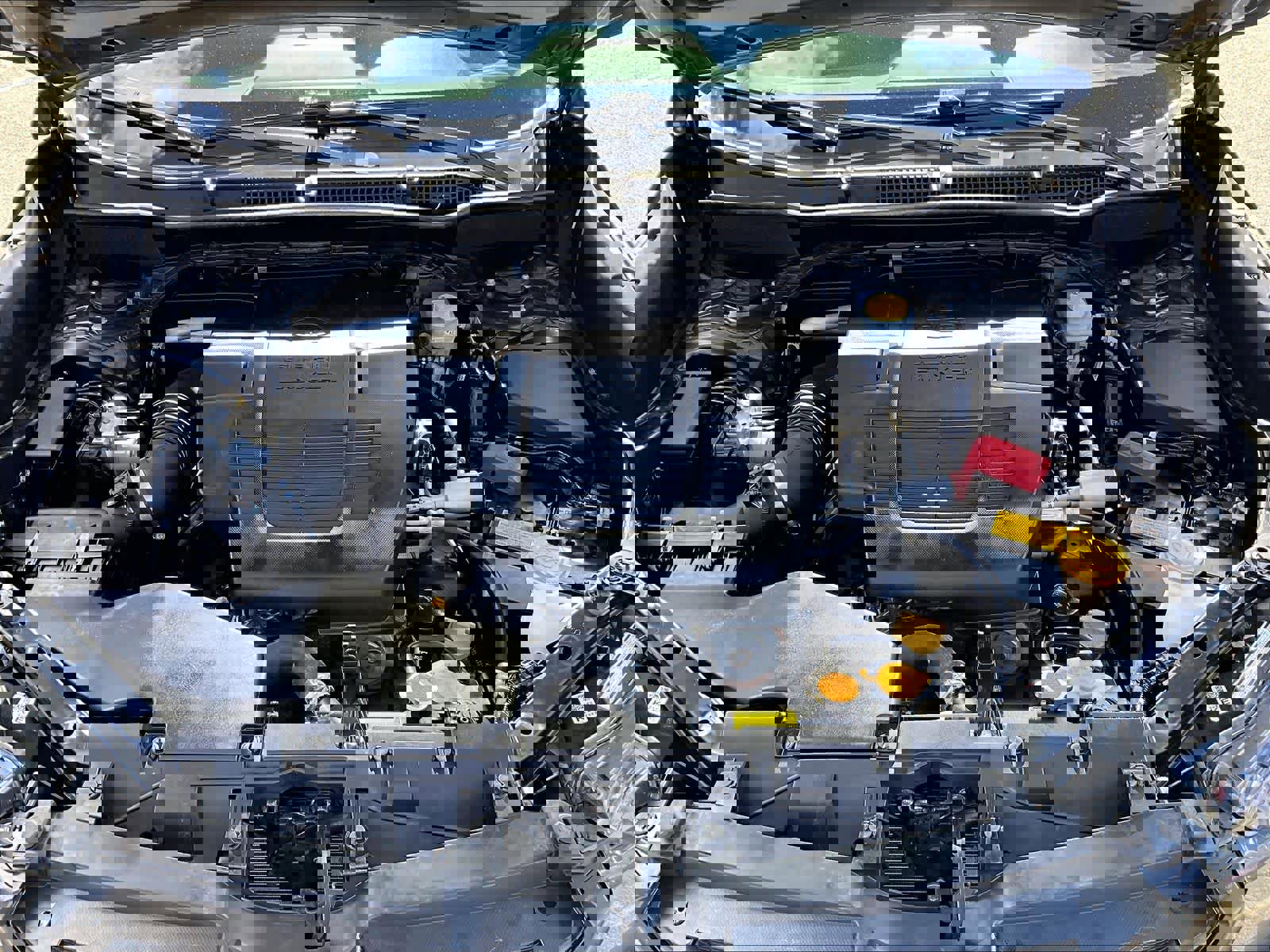 Used 2023 Subaru Forester Wilderness image 30