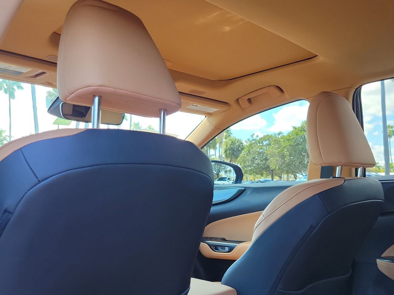 Used 2024 Lexus NX 250 FWD w/ Cold Area Package image 13