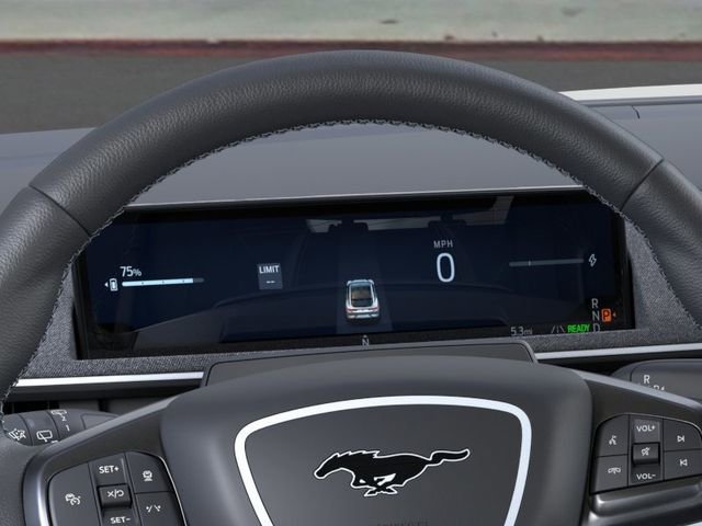 New 2025 Ford Mustang Mach-E GT w/ Interior Protection Package image 13