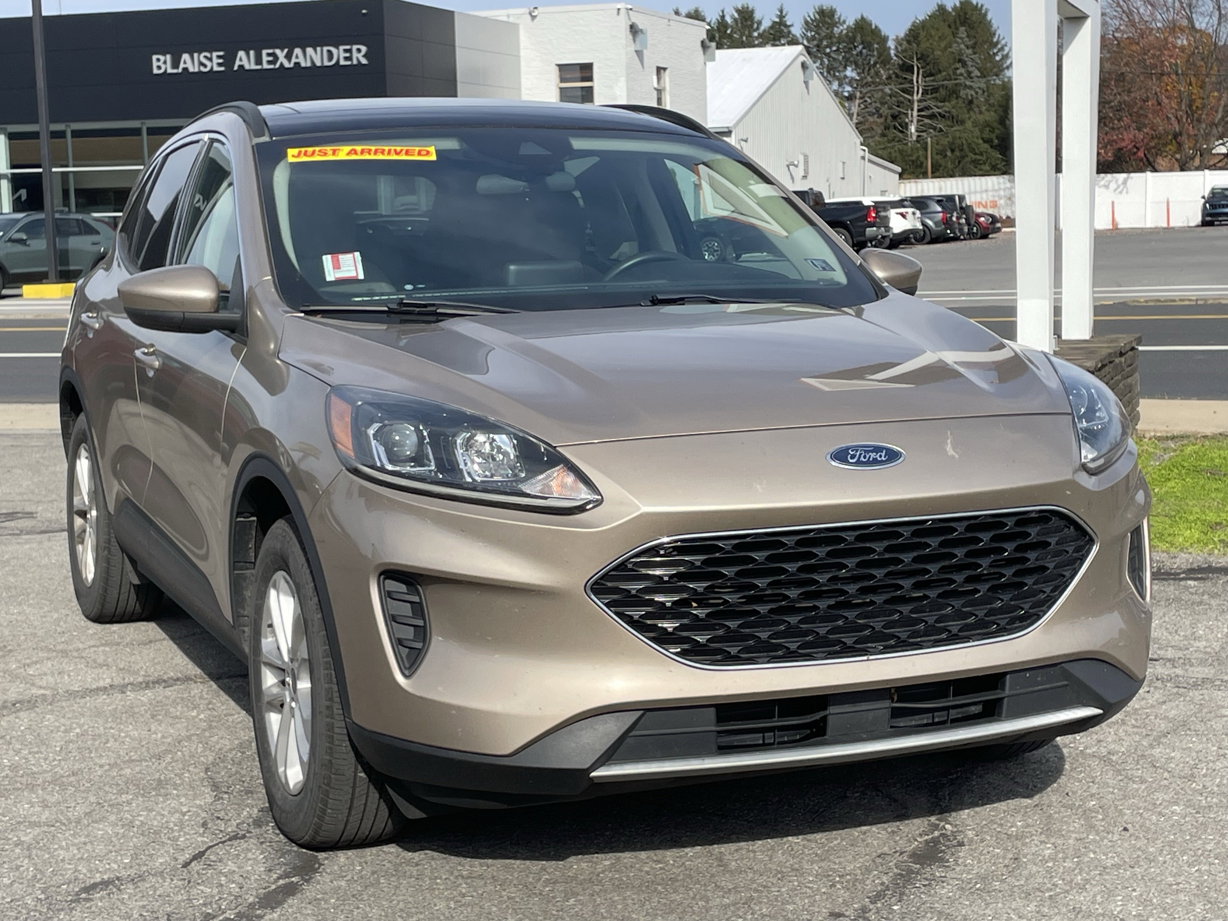 Used 2020 Ford Escape SE image 1