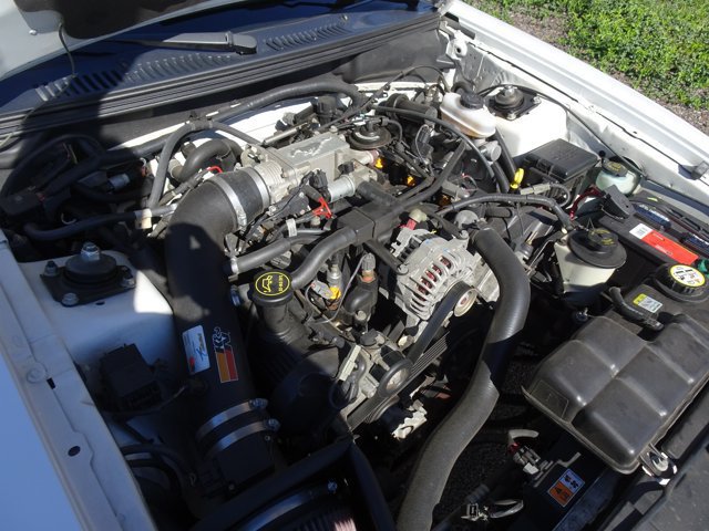Used 2001 Ford Mustang GT Premium RWD image 15