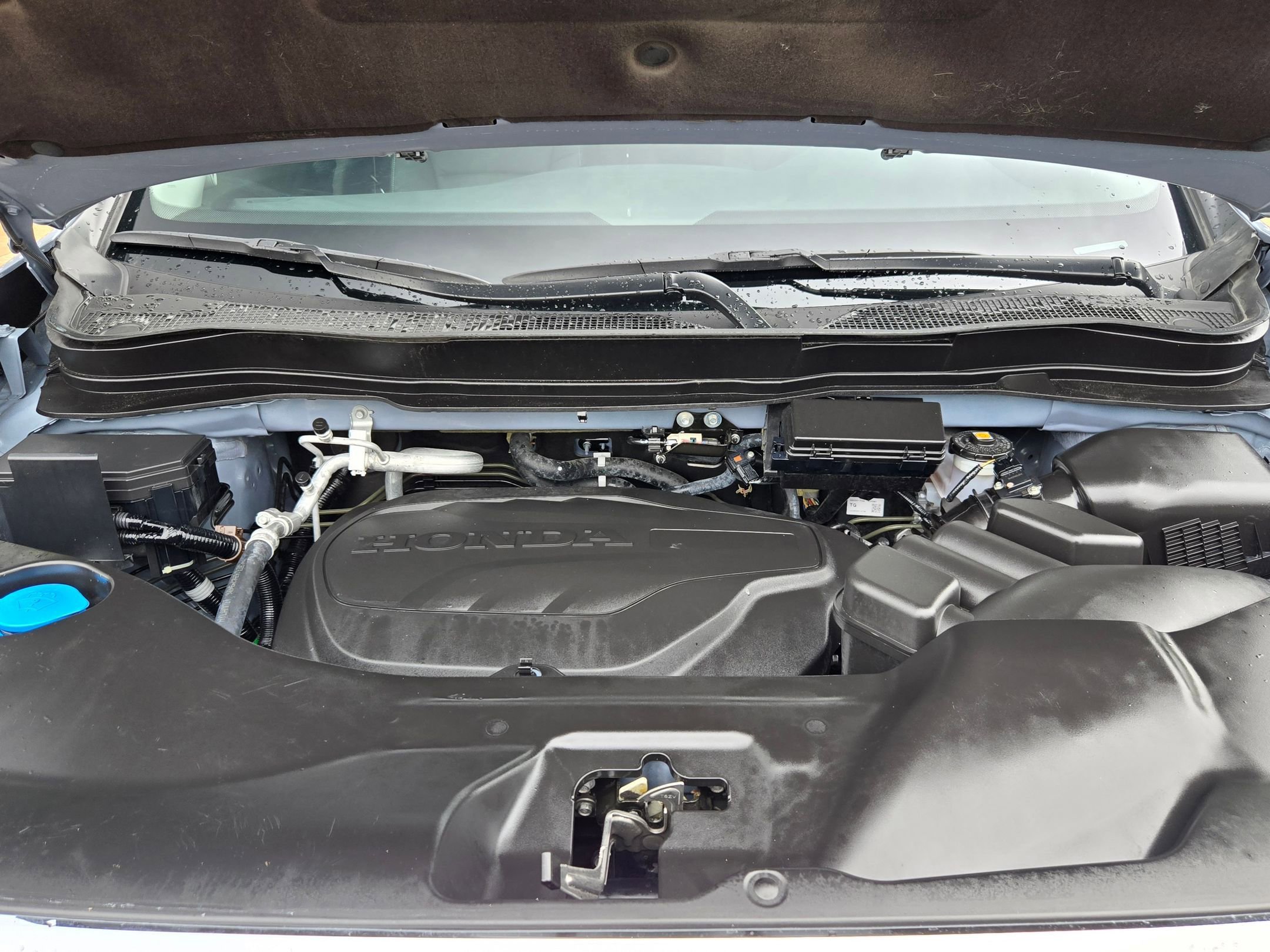 Used 2024 Honda Ridgeline RTL image 33