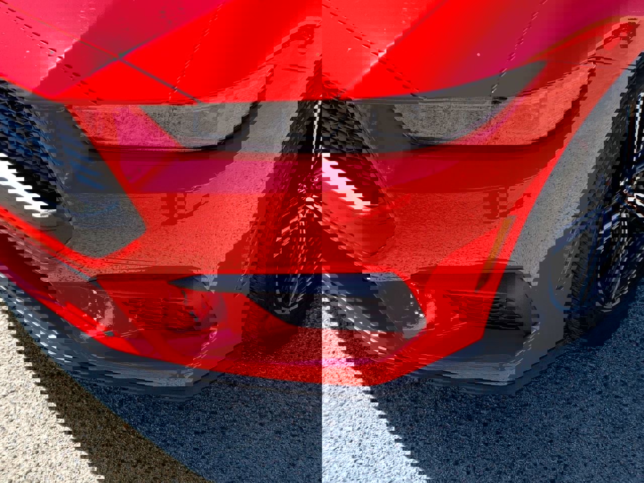 New 2025 Ford Mustang Coupe image 12