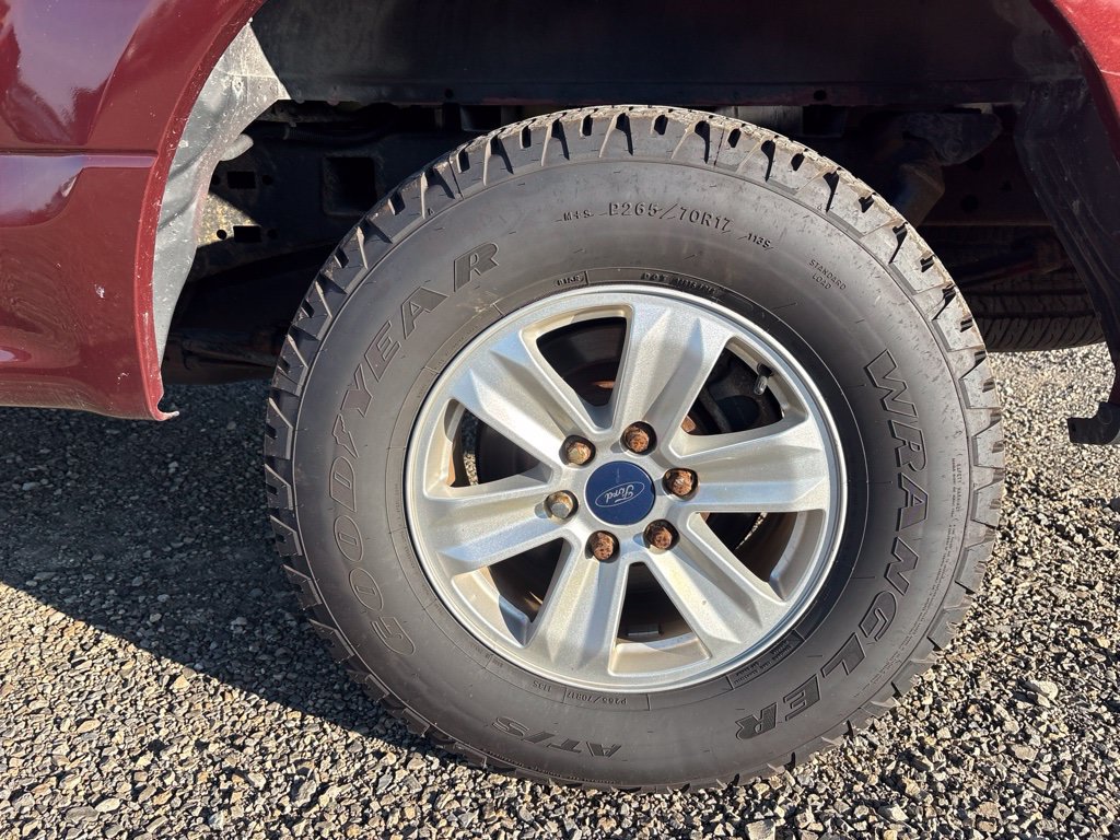 Used 2015 Ford F150 XLT w/ Equipment Group 301A Mid AWD/4WD image 7