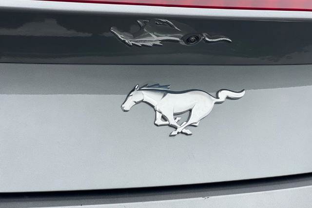 Used 2025 Ford Mustang Convertible RWD image 13