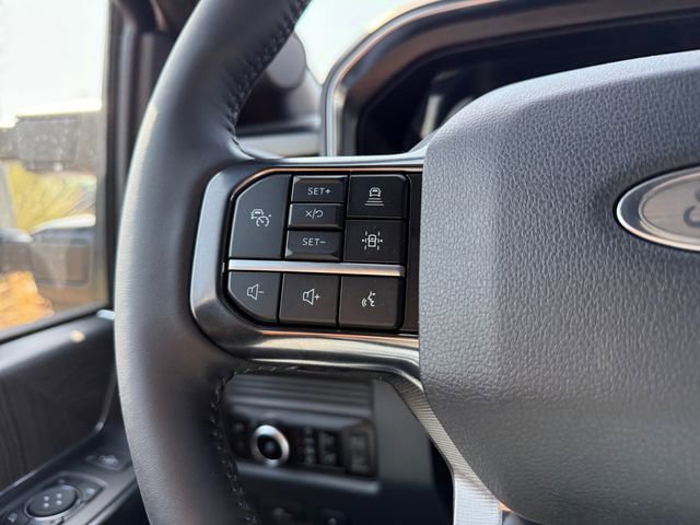 New 2025 Ford F250 Platinum image 6