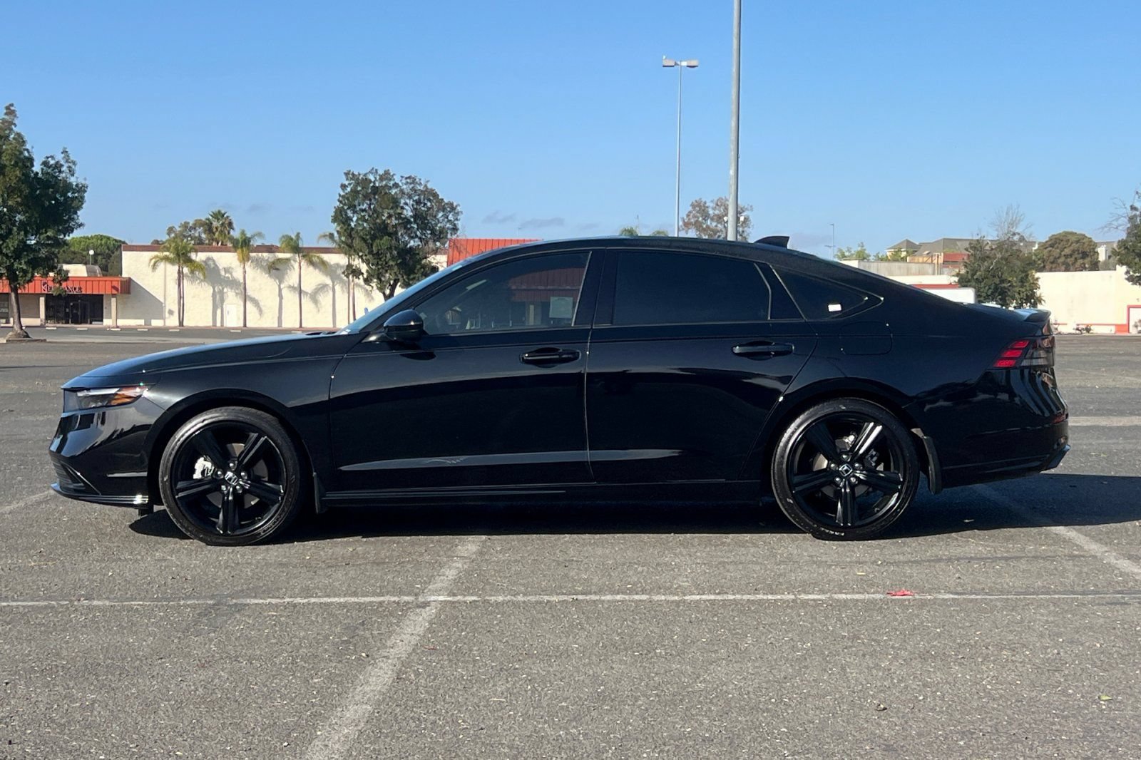 Used 2025 Honda Accord Sport image 6