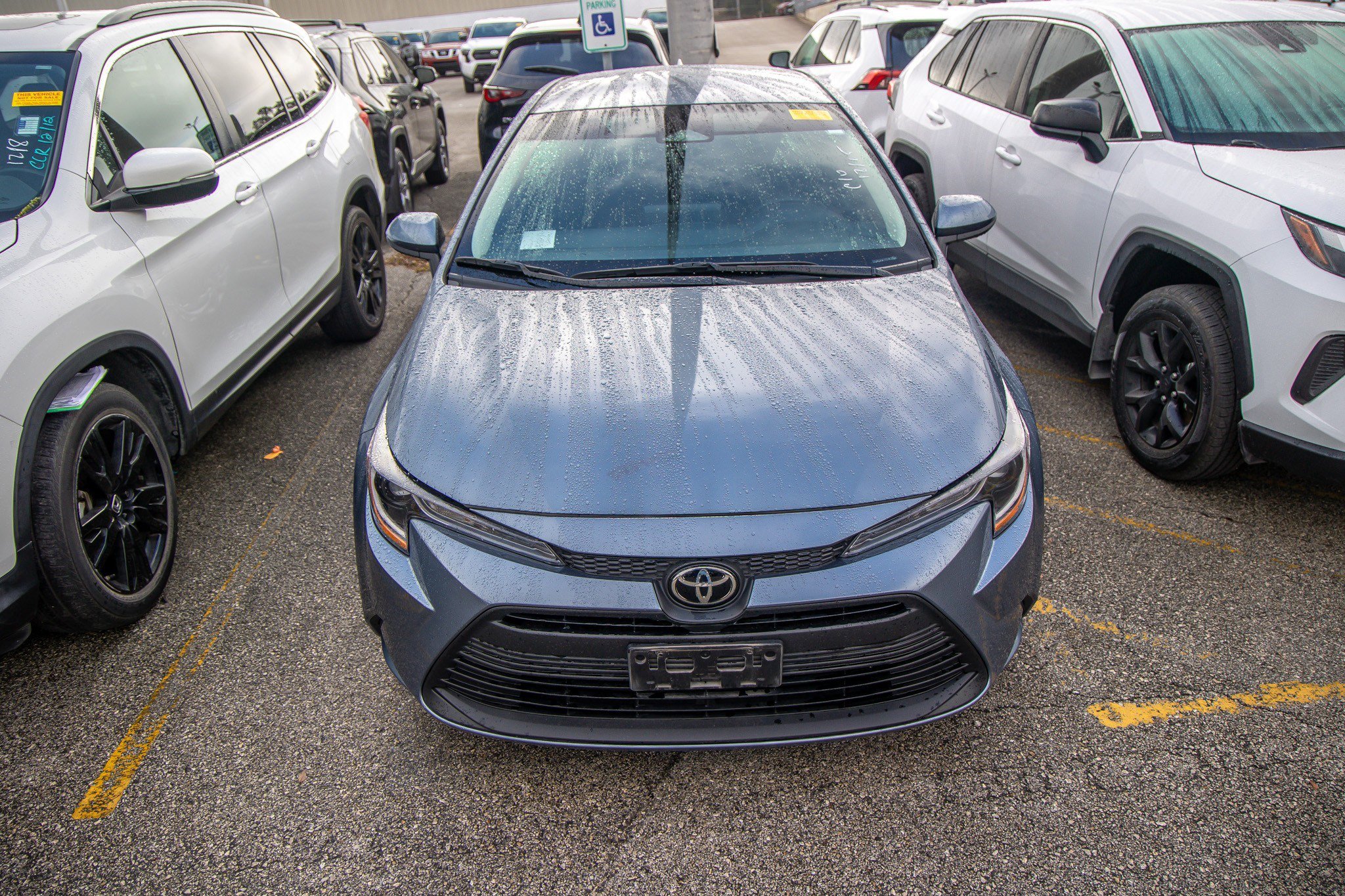 Used 2024 Toyota Corolla LE image 5