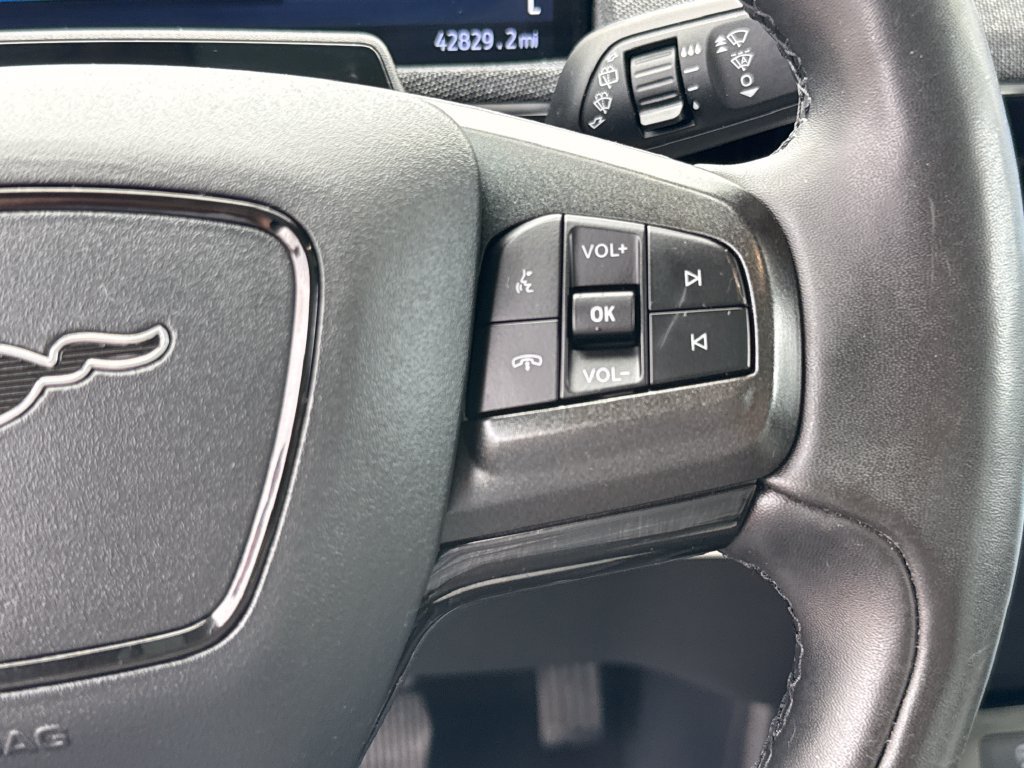 Used 2021 Ford Mustang Mach-E Premium AWD/4WD image 18