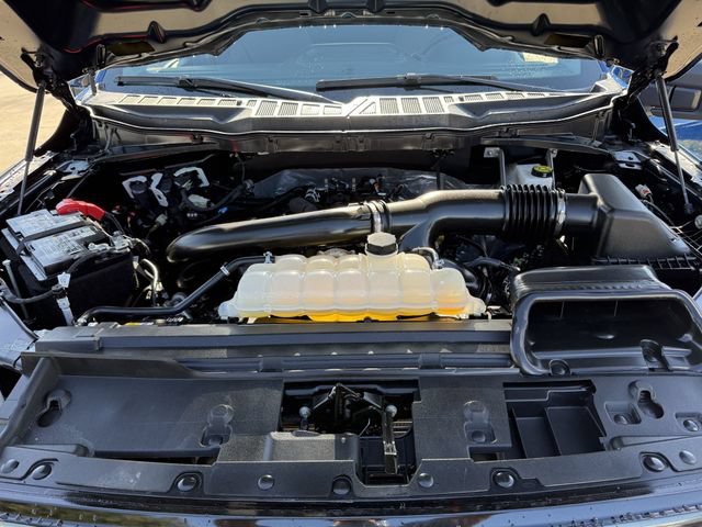 Used 2025 Ford F150 XLT w/ Equipment Group 301A Standard AWD/4WD image 24