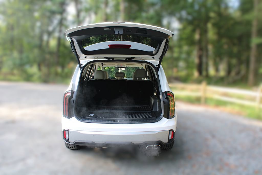 New 2025 Kia Telluride EX image 9