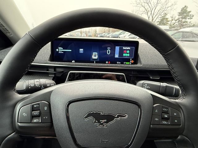 New 2026 Ford Mustang Mach-E Premium image 20